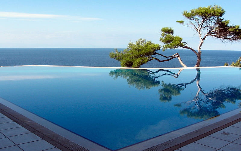wonderful infinity pool, tree, reflection, pool, sea, HD wallpaper