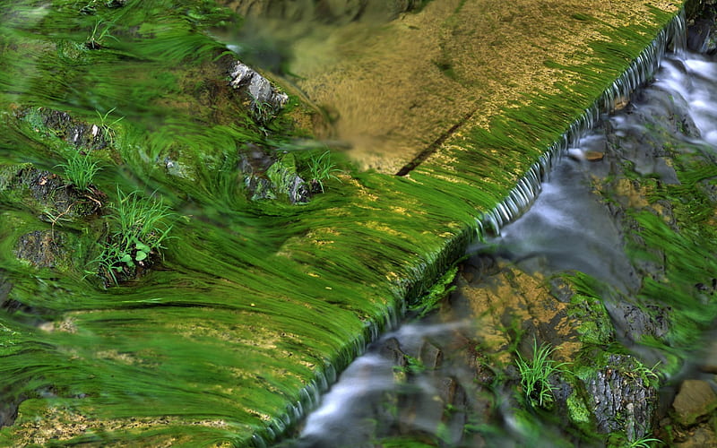 streamlet, waterfall, HD wallpaper