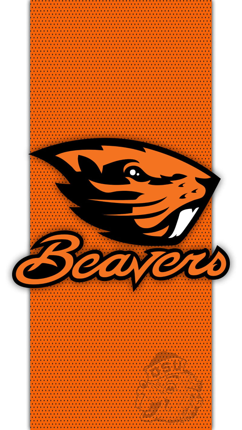 Oregon State beavers, football, HD phone wallpaper