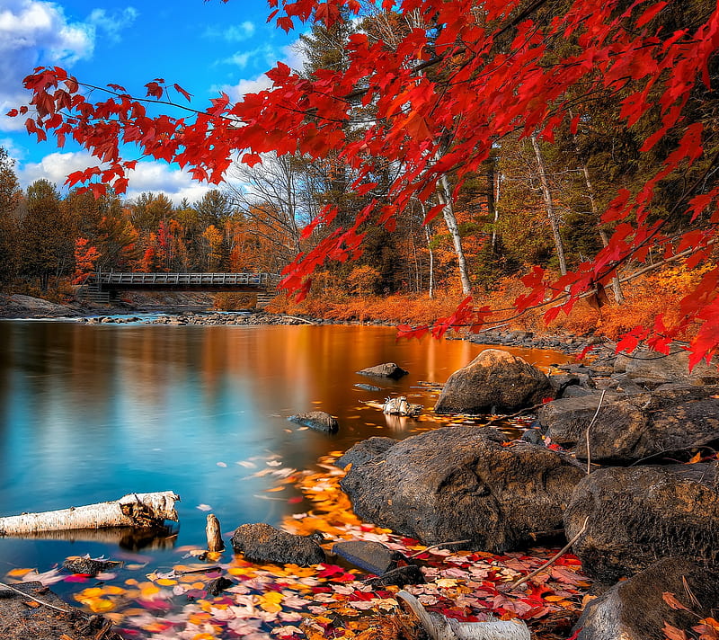 Autumn, bridge, golden, lake, leaves, red, rocks, trees, HD wallpaper