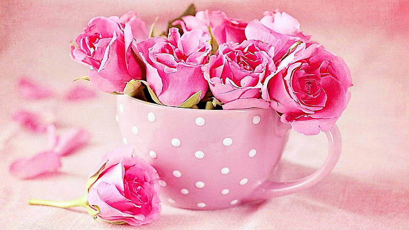 Stunning Roses Cup Pink Polka Dots Hd Wallpaper Peakpx - Rose Gold Polka Dot Wallpaper 4k For Pc