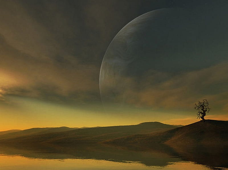 Distant tree, silhouet, moon, clouds, shade, HD wallpaper | Peakpx