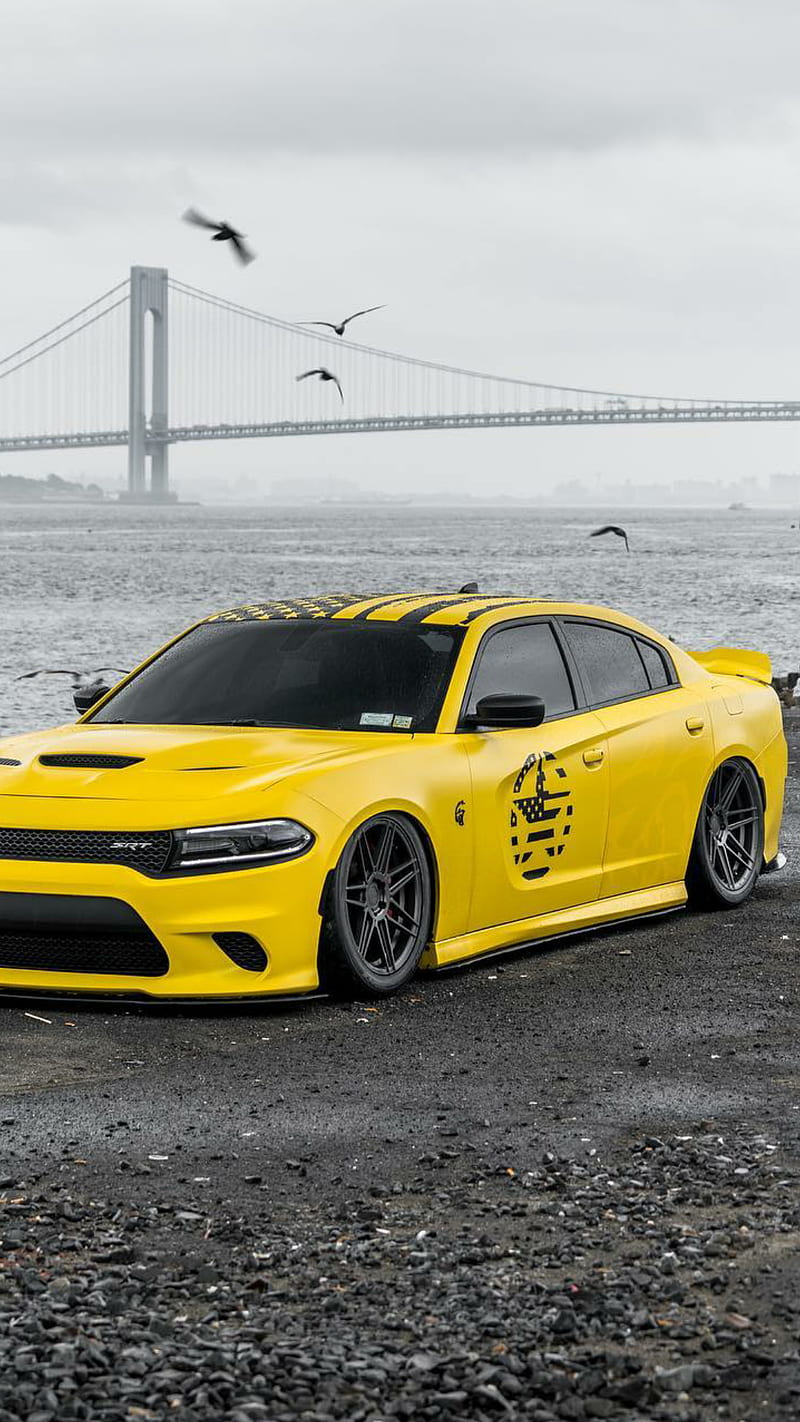 Dodge Charger SRT Hellcat With Dog HD Cars 4k Wallpapers Images  Backgrounds Photos and Pictures