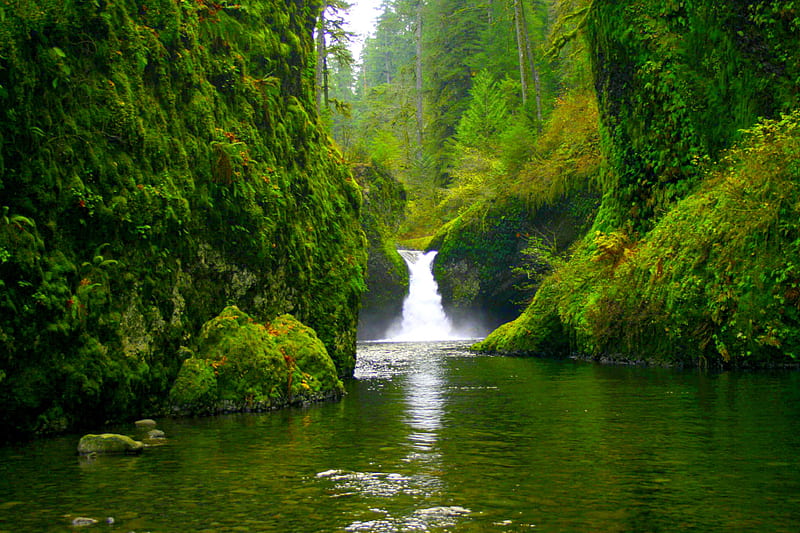 GREEN FOREST RIVER FALLS, RIVER, GREEN, FALLS, FOREST, HD wallpaper ...