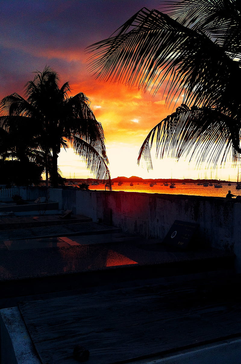 Sun set in the grave, beach, nature, HD phone wallpaper
