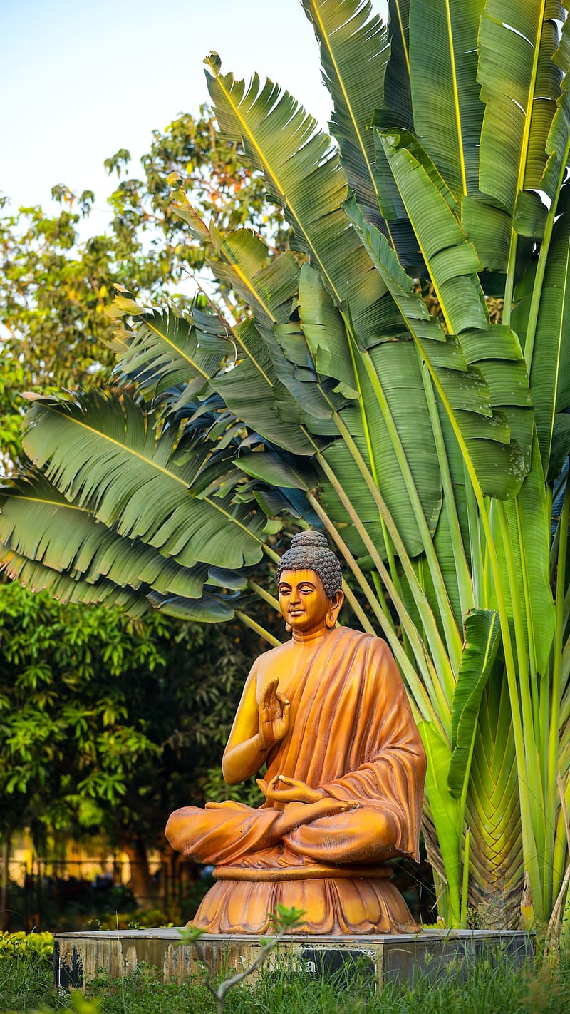 Lord Buddha With Green Background, lord buddha, green background, meditation, trees, god, HD phone wallpaper