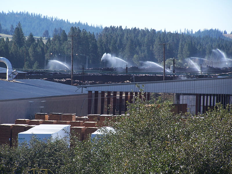 Sprinkler System on logs, Renewable Resources, Forests, Sawmills, Economy, Timber, HD wallpaper