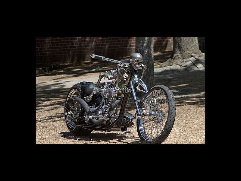 Skull Bike, skeleton, bike, skull, motorcycle, HD wallpaper | Peakpx