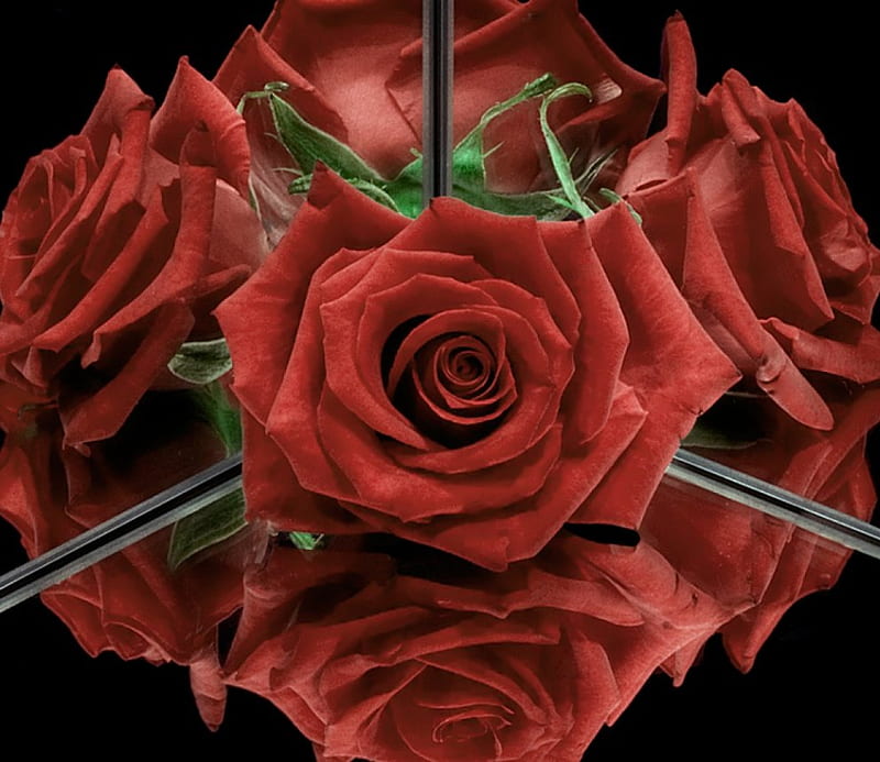 Roses, 3d, HD wallpaper | Peakpx