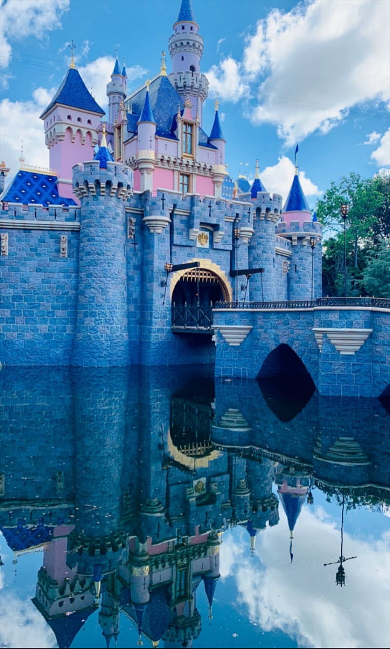 Disney castle 2019, 2019 disney castle, 2019 disneyland castle, disneyland, disneyland  castle, HD phone wallpaper | Peakpx