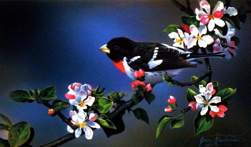 Rose-Breasted Grosbeak, tree, bird, painting, twig, blossoms, songbird, artwork, HD wallpaper