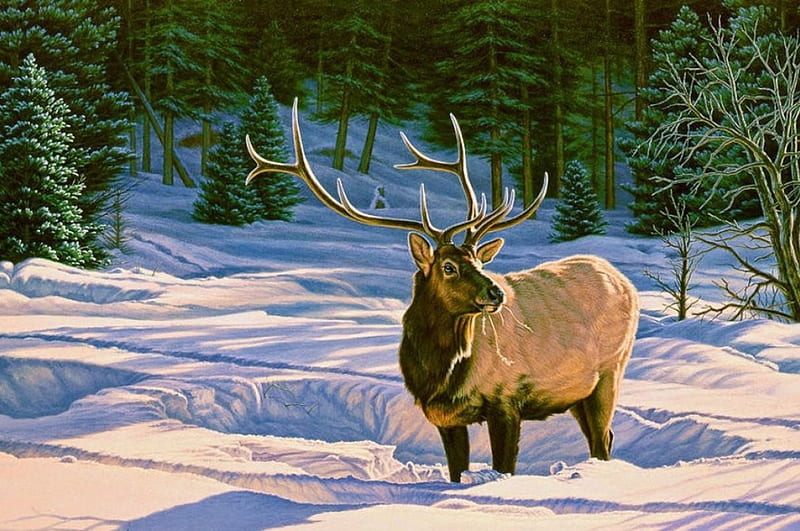 Winter Forage, forest, snow, painting, trees, artwork, deer, HD wallpaper