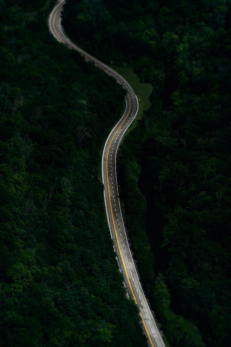 road, forest, marking, aerial view, HD phone wallpaper