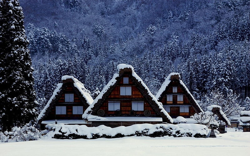 Winter, pretty, house, cabin, magic, snowy, countryside, nice, village, kindness, lovely, holiday, christmas, new year, park, sky, trees, mood, alleys, snow, ice, care, roe, fence, little, cottage, meet, home, bonito, cold, deer, painting, light, frost, forest, yard, tree, girl, warmth, snowflakes, frozen, HD wallpaper