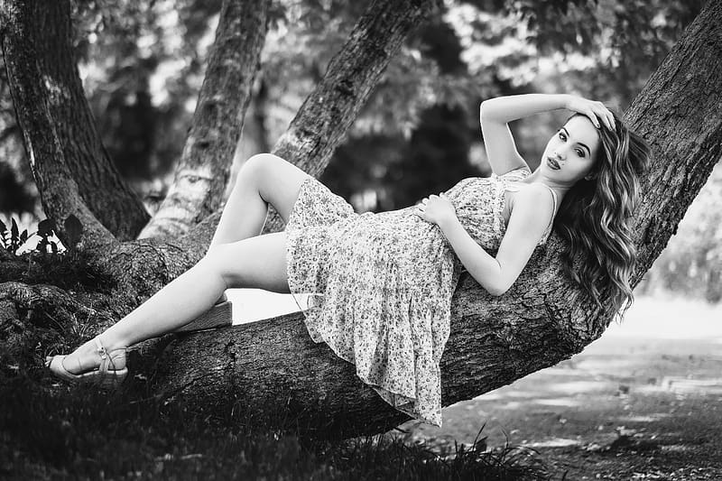 Model Posing in B & W, outdoors, model, dress, tree, HD wallpaper
