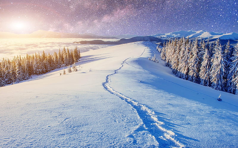 Winter landscape, forest, view, bonito, trees, ski, winter, mountain, snow, snowfall, slope, landscape, HD wallpaper