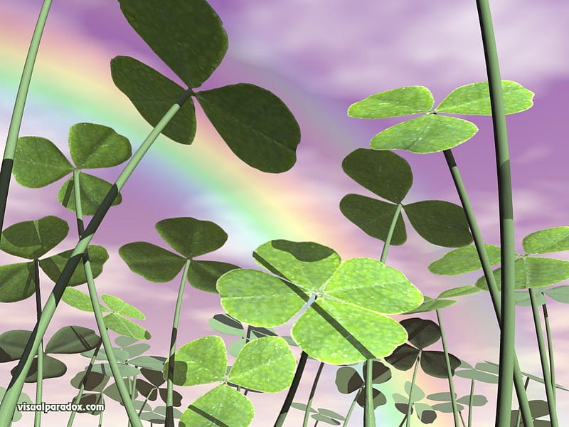 Lucky Day, st patrick day, four leaf clover, clover, day, garden, rainbow, lucky, HD wallpaper