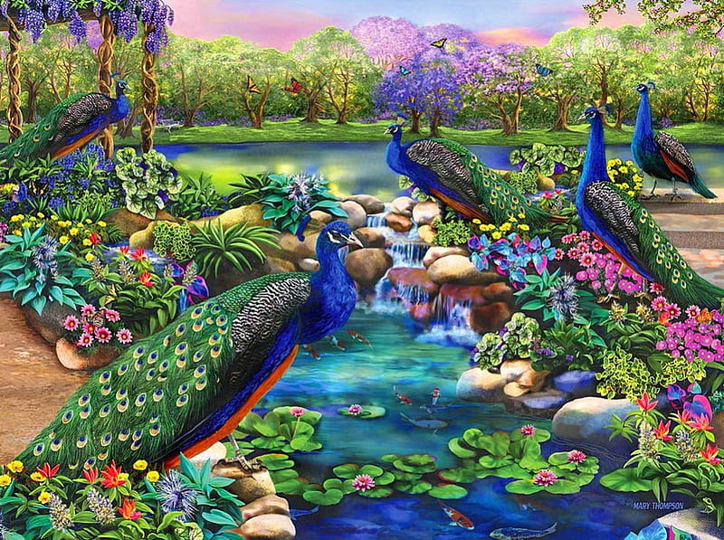Peacock majesty, stream, colorful, lovely, peacock, lilies, birds, bonito, creek, lake, pond, paradise, flowers, garden, majesty, HD wallpaper