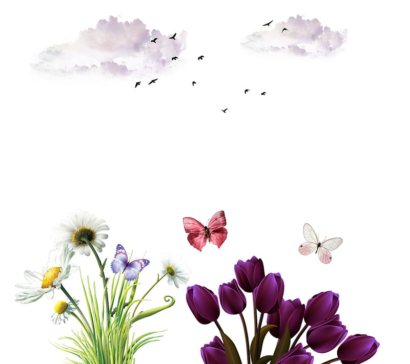 Flower scene, butterfly, cloud, flowers, HD wallpaper