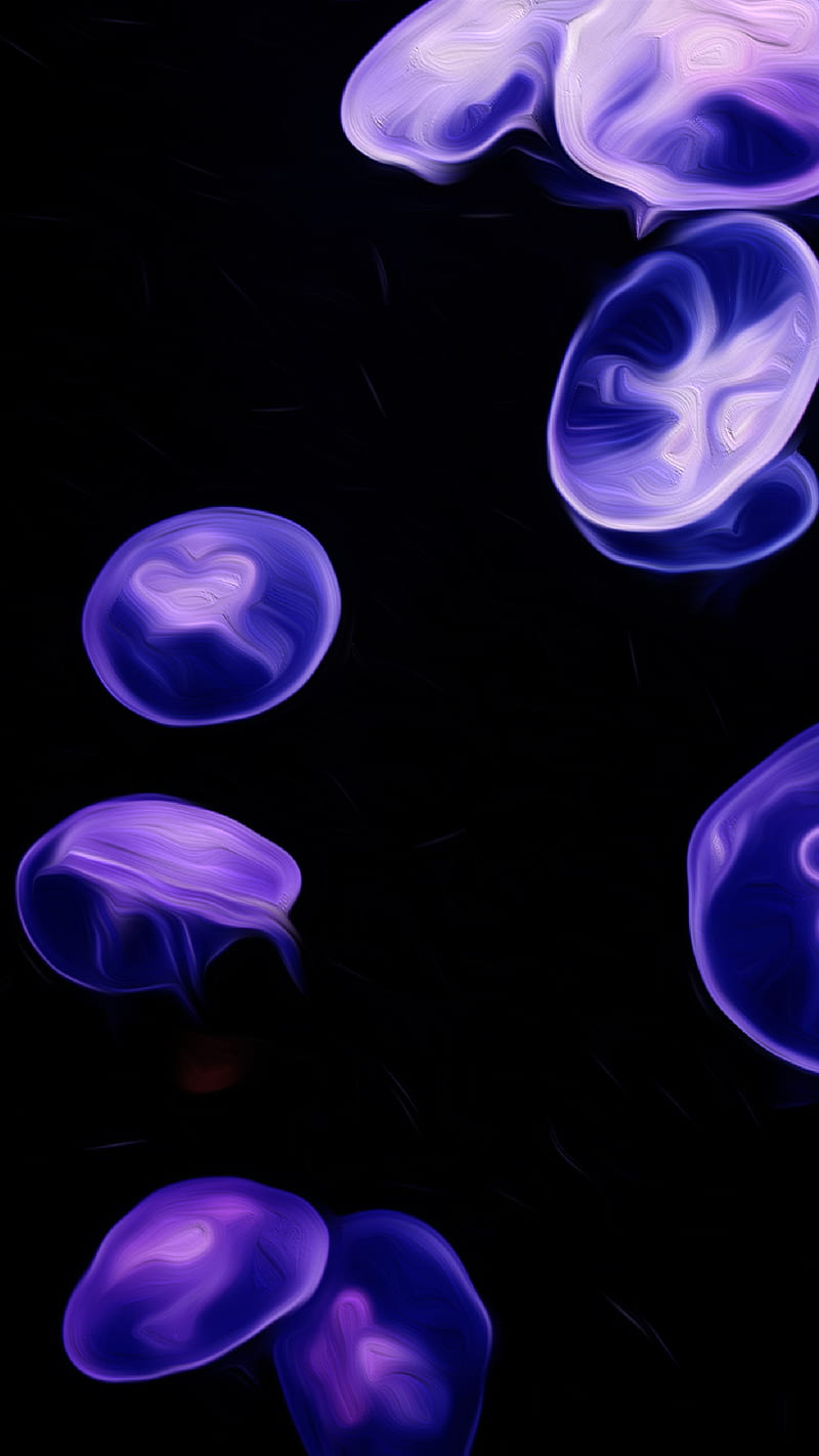 Jellyfish Jelly Fish A, Aquarium, dark, Fish, Jelly, Jellyfish, decord, HD phone wallpaper