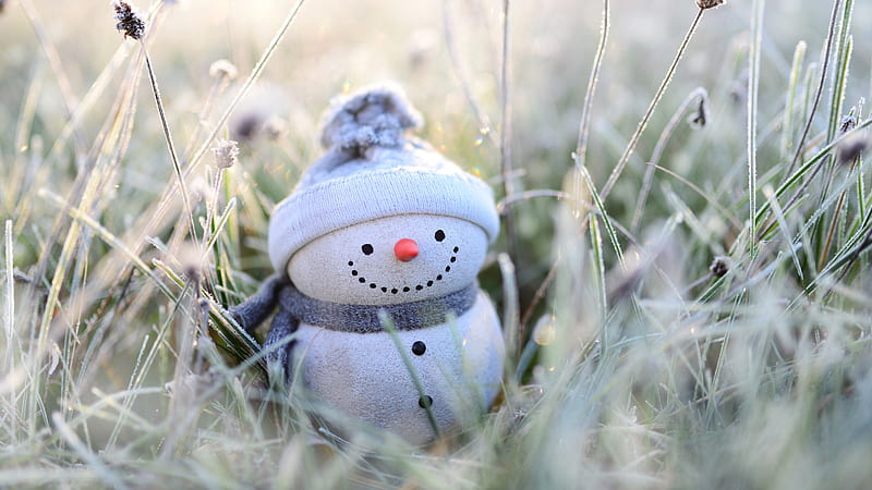 Snowman On Dry Grass Snowman, HD wallpaper