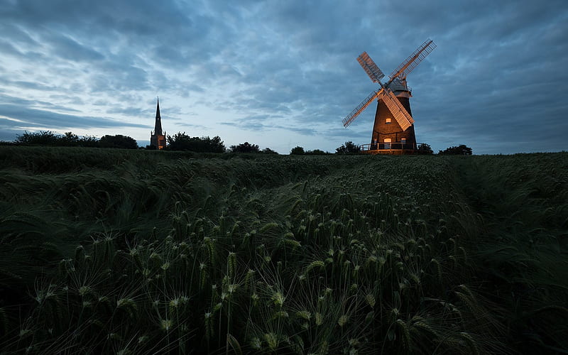 Dutch Windmill in Wheat Field, Architecture, Landscapes, Fields, Nature, Windmills, HD wallpaper