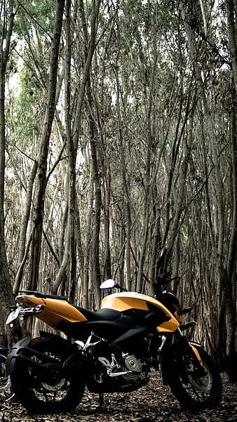 Ns 200 With Forest Background, ns 200, ns 200 with tree background, bike,  race, HD phone wallpaper | Peakpx