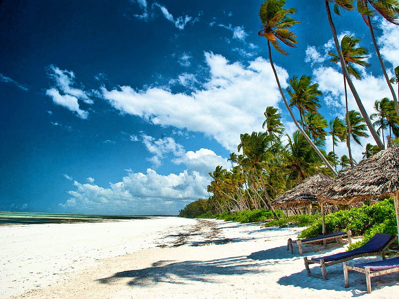 Morning Beach In Zanzibar, Tanzania, white sand, huts, grass, Africa, ocean, bonito, clouds, palm trees, beach, blue sky, HD wallpaper