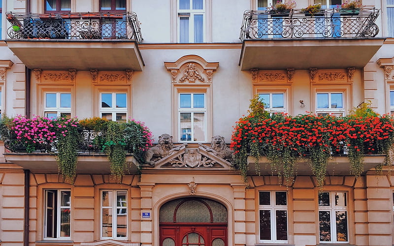 Windows in Poznan, Poland, flowers, windows, house, balcony, Poland, HD wallpaper