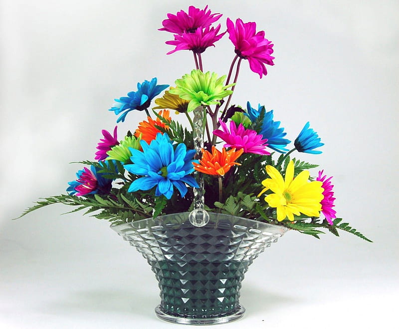 Happy Birtay Coco!, colorfull, colors, vase, year, birtay, happy