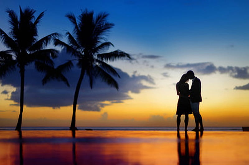 Couple at sunset, Silhouette, Honeymoon, beach, Sunset, Coconut trees, HD wallpaper