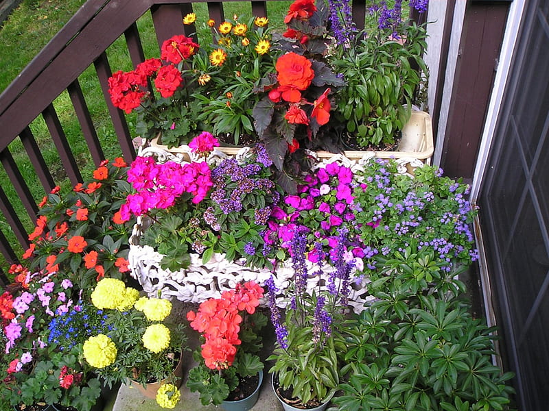 The back steps, gardens, summer, flowers, brecksville, HD wallpaper
