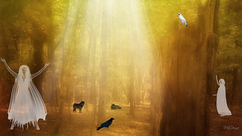 Honor the Light, mystical, forest, woods, spirits, fantasy, ghosts, wolf, mythical, wolves, light, HD wallpaper