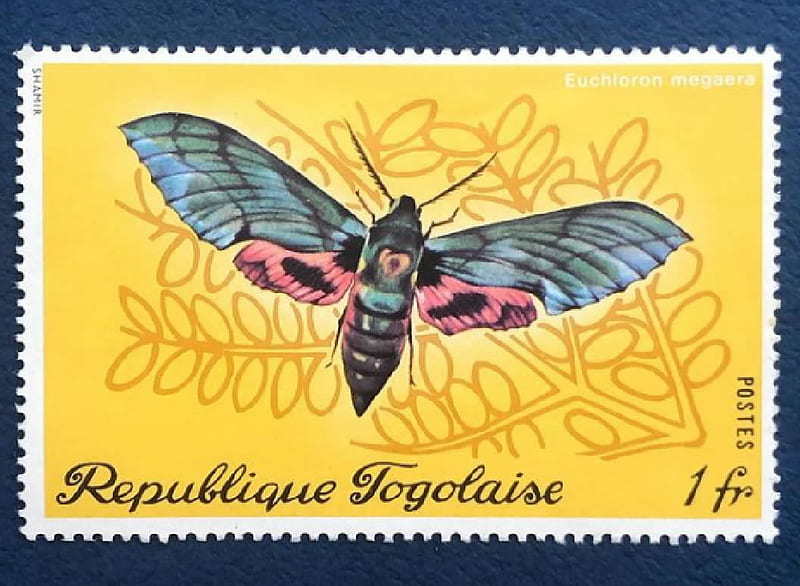 Togo stamp, Togo, Butterflie, Insects, stamps, Ephemera, Philately, HD wallpaper