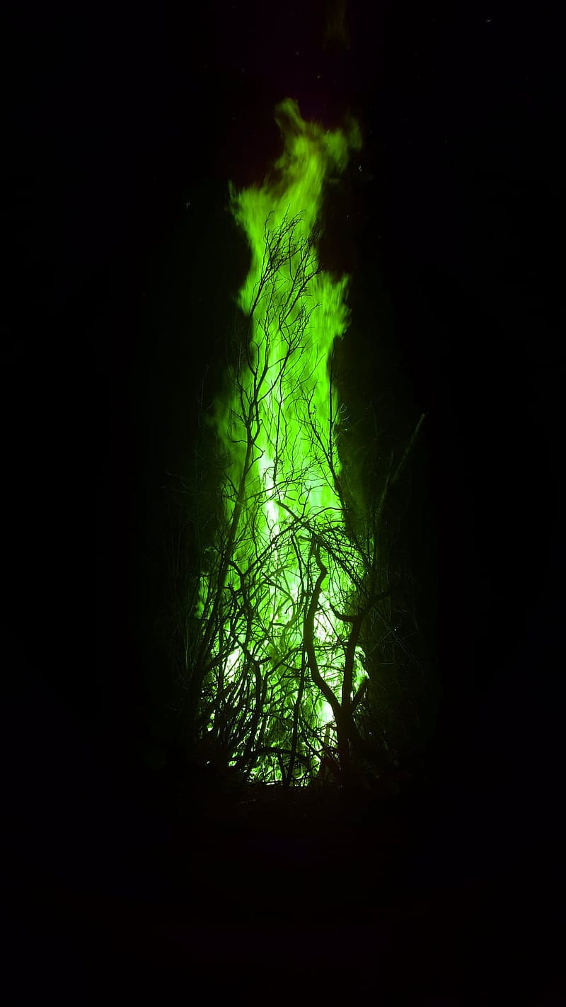 green fire, campfire, dark, edge, nature, night, wonder, HD phone wallpaper