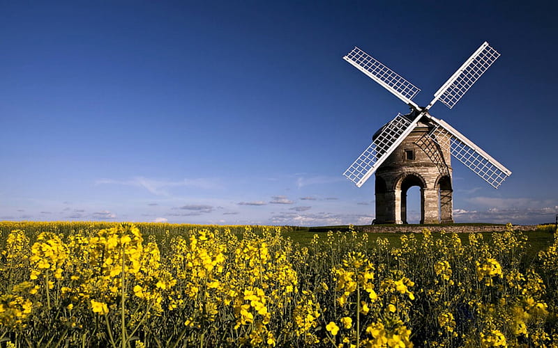 Cresterton Windmill, Warwickshire, UK, Windmill, Stone, Flowers, UK, HD wallpaper