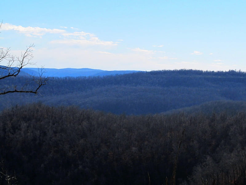 Untouched, national forest, buffalo river, hiking, ozarks, HD wallpaper