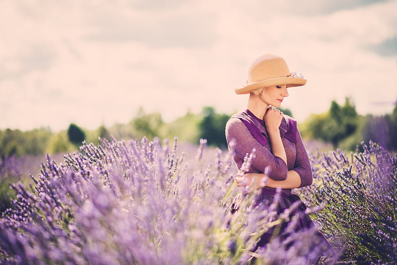 In a pristine nature, blond, box, lavender, hat, purple color, alone, girl, basket, flowers, nature, field, scented air, lavander, HD wallpaper