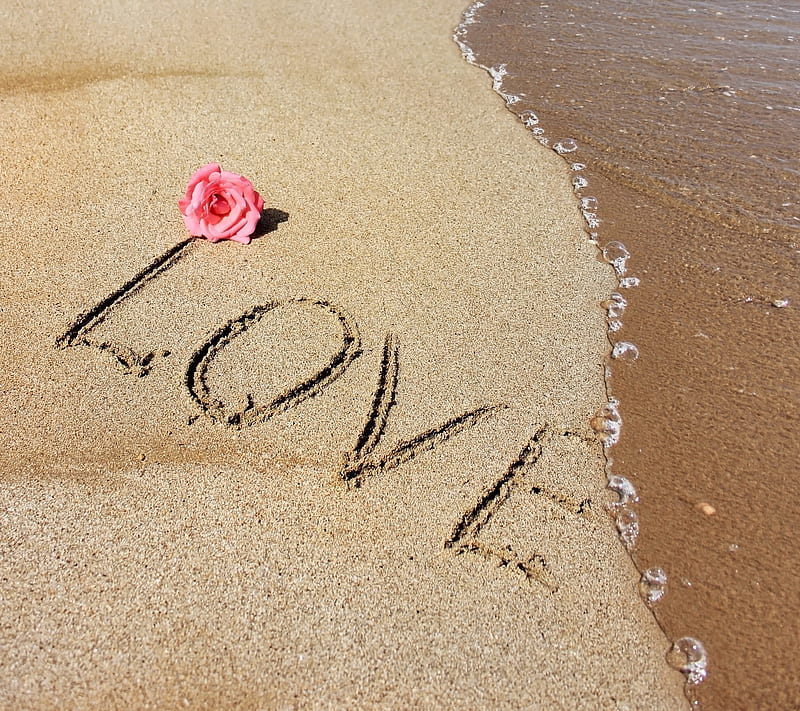Love, beach, ove, romantic, rose, sand, see, HD wallpaper