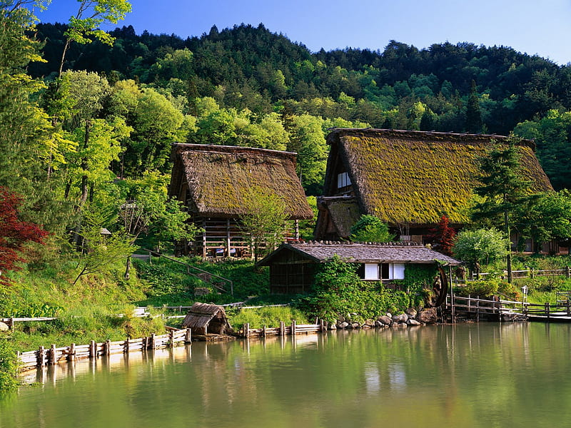 Japanese Farm House, farm, forest, japan, house, japanese, nature, lake, HD wallpaper