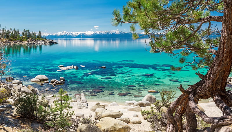 Clear Water at Lake Tahoe, California, tree, stones, landscape, mountains, HD wallpaper