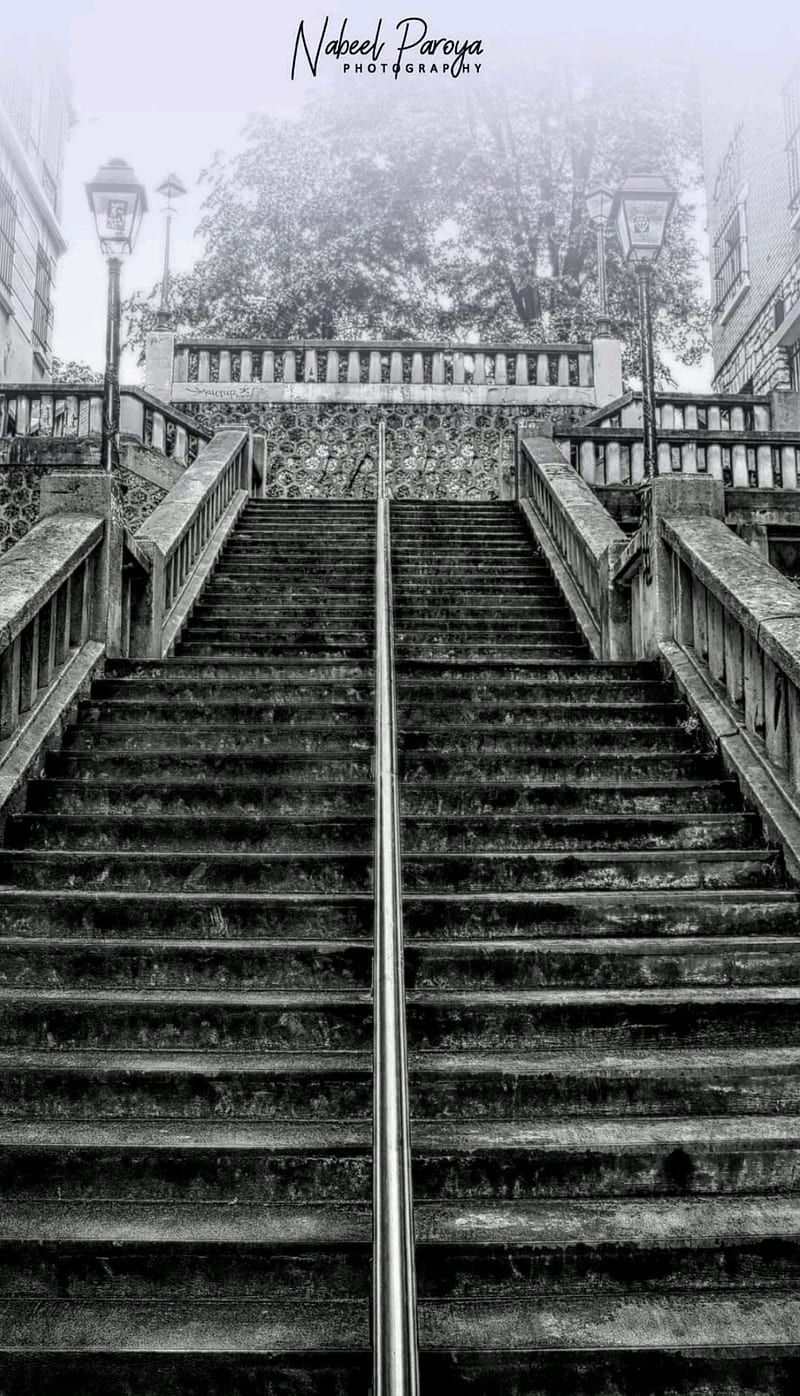 Stairs, black and white, dark, full, mare, mirrored, parallel, rail, symmetry, HD phone wallpaper
