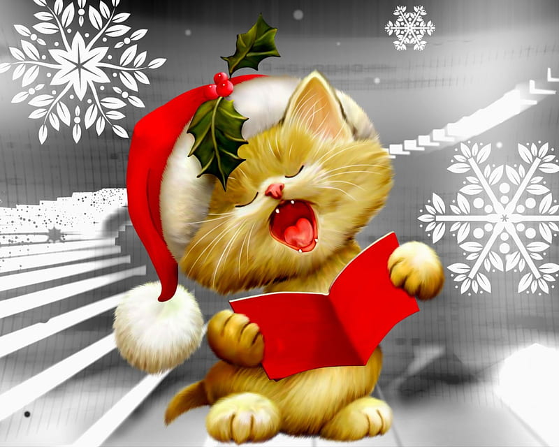 Christmas song, christmas, holiday, kitty, background, bonito, cat, joy,  mood, HD wallpaper | Peakpx