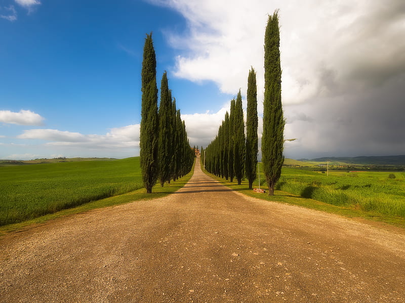 Cypress, road, trees, clouds, sky, italy, HD wallpaper