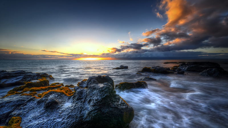 Superb ocean scape, rocks, shore, ocean, vegetation, sunset, clouds, HD ...