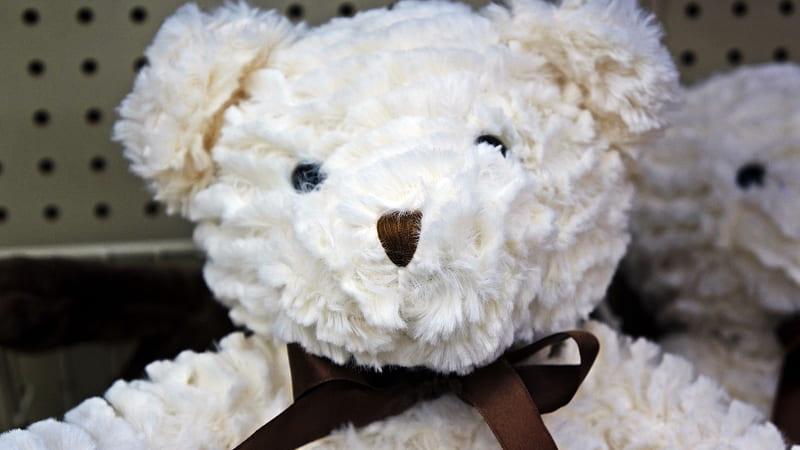 Ted E Bear, bear, stuffed bear, teddy bear, HD wallpaper