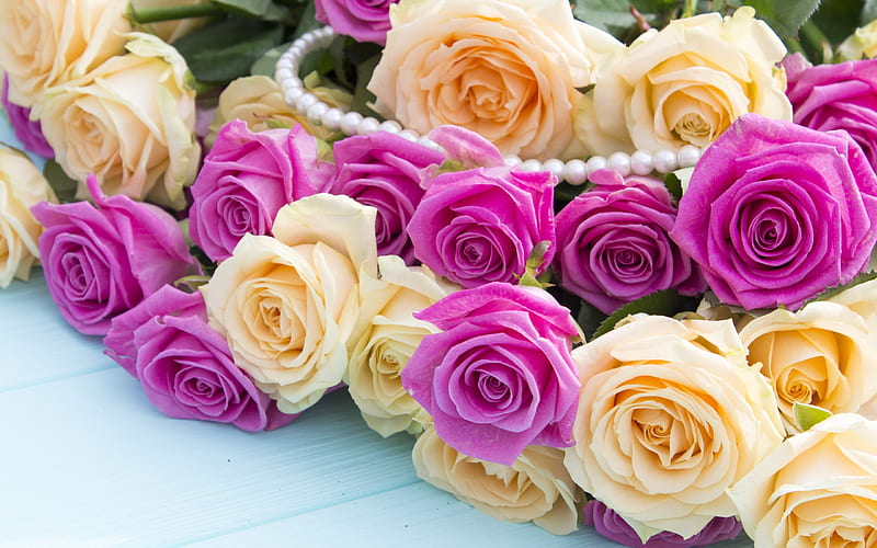 pink roses, beautiful flowers, purple roses, beautiful bouquet, roses, HD wallpaper