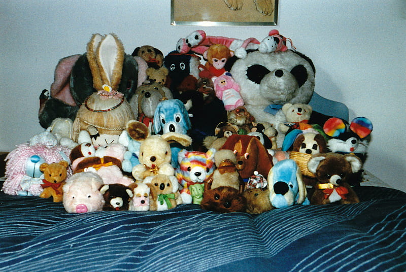The Weans, teddy bears, cuddly toys, weans, teddies, HD wallpaper