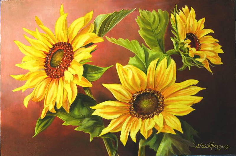 Sunflower Wallpapers: Free HD Download [500+ HQ] | Unsplash
