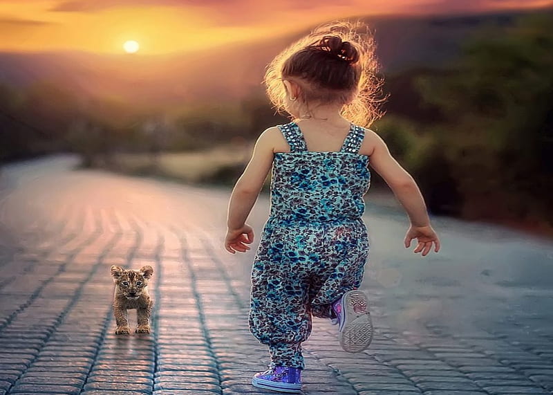 Come Into, Little Girl, Wild, Sunset, Cat, HD wallpaper